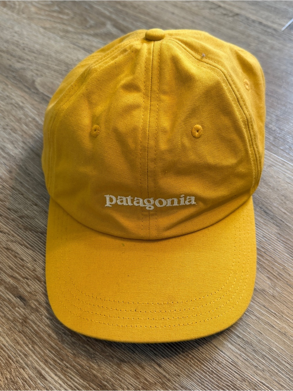 Patagonia hat